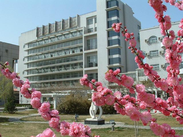 被操视频打几把
